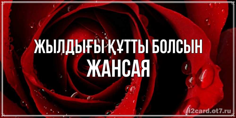 Күн сайын ашық хат с именем, ЖАНСАЯ Жылдығы құтты болсын крупная бордовая роза Онлайн тегін жүктеп алу тілектері бар керемет карта 