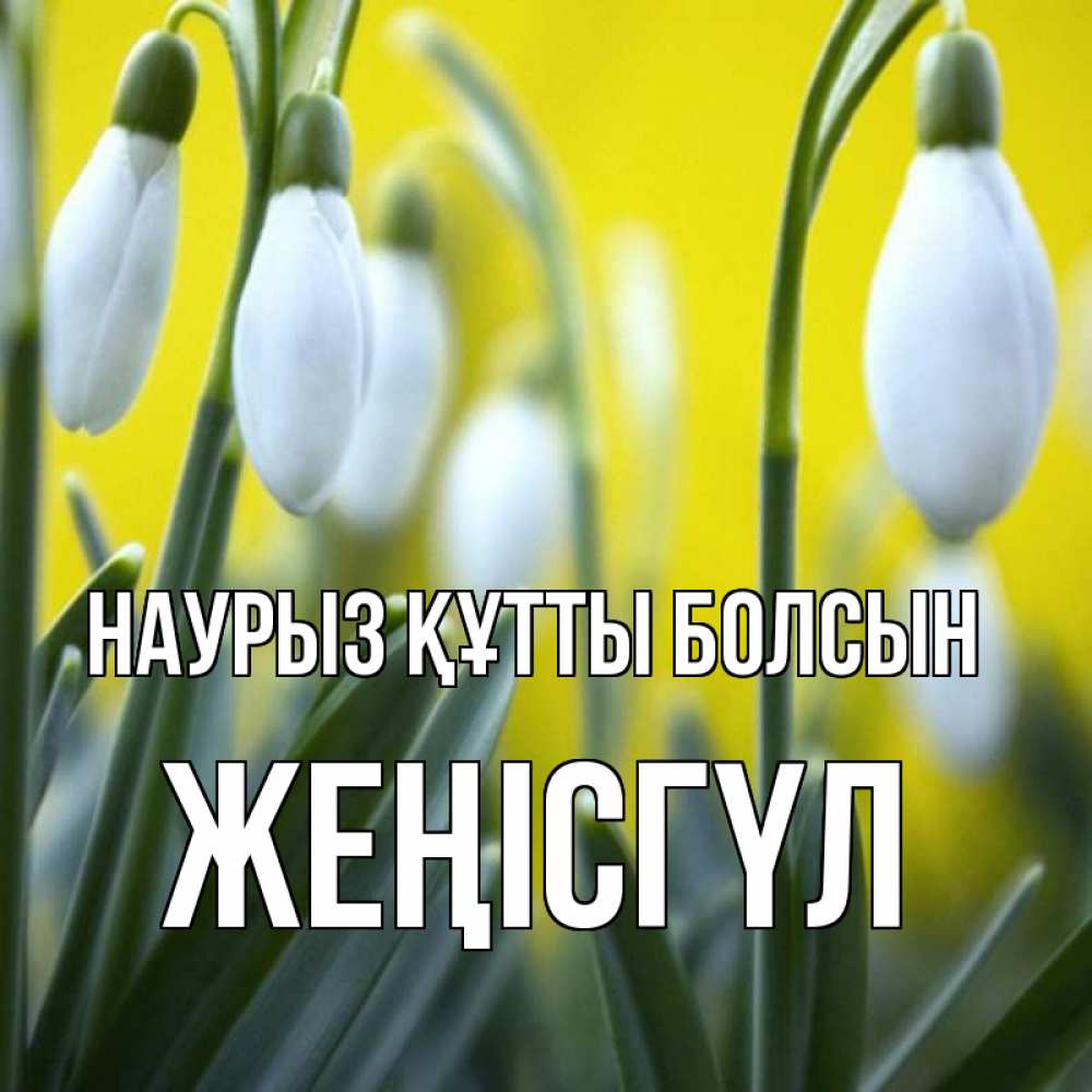 Күн сайын ашық хат с именем, ЖЕҢІСГҮЛ Наурыз құтты болсын весенние цветы Онлайн тегін жүктеп алу тілектері бар керемет карта 