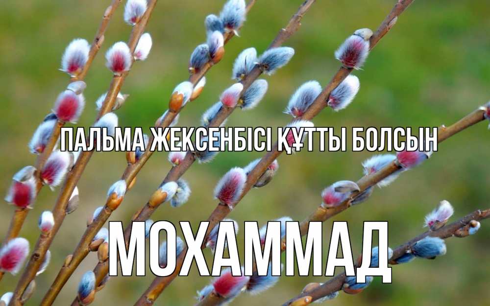 Күн сайын ашық хат с именем, Мохаммад Пальма жексенбісі құтты болсын верба Онлайн тегін жүктеп алу тілектері бар керемет карта 