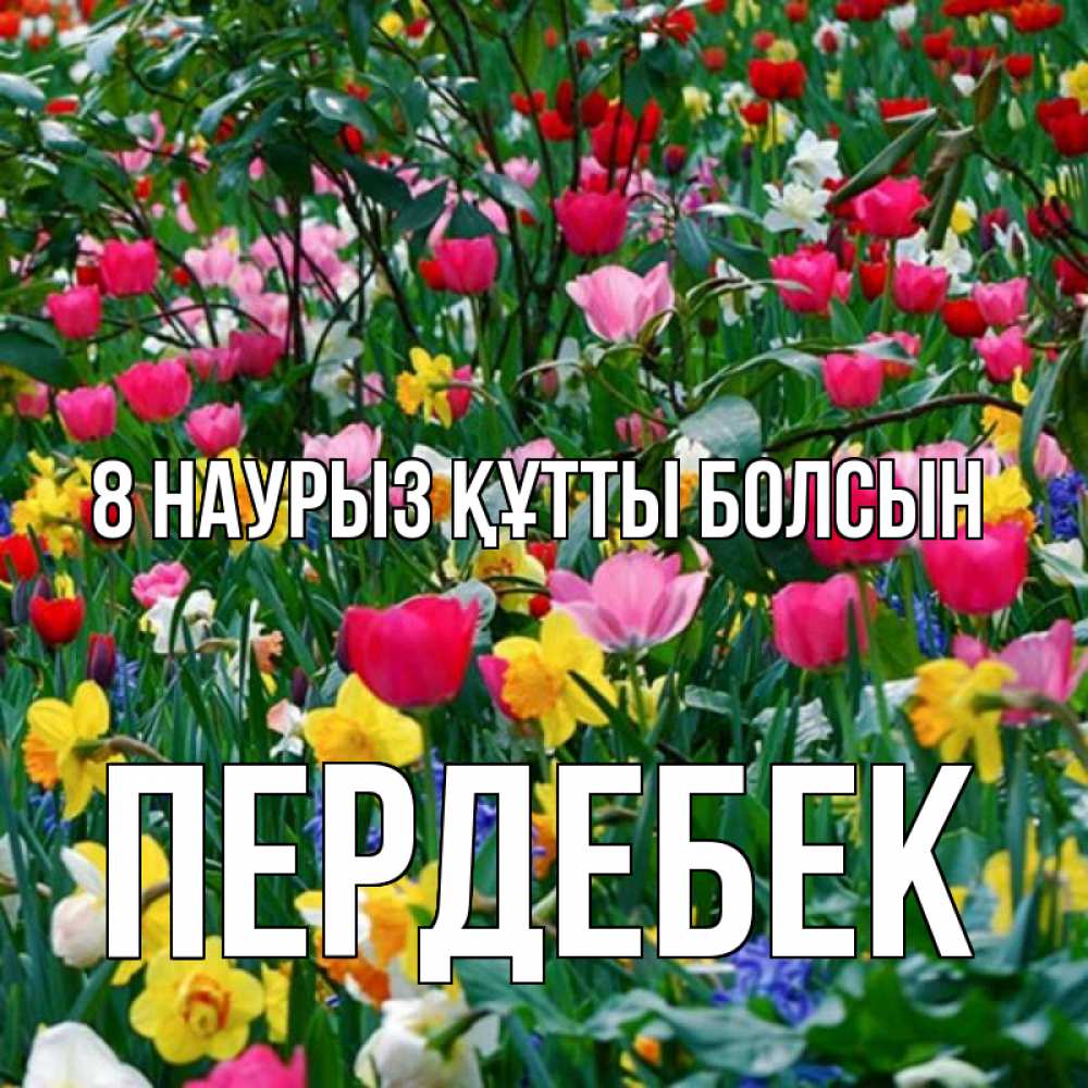Күн сайын ашық хат с именем, ПЕРДЕБЕК 8 наурыз құтты болсын с международным женским днем поздравления для женщины Онлайн тегін жүктеп алу тілектері бар керемет карта 