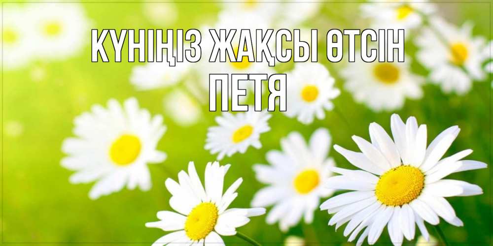 Күн сайын ашық хат с именем, Петя Күніңіз жақсы өтсін открытка с ромашками на зеленом фоне Онлайн тегін жүктеп алу тілектері бар керемет карта 