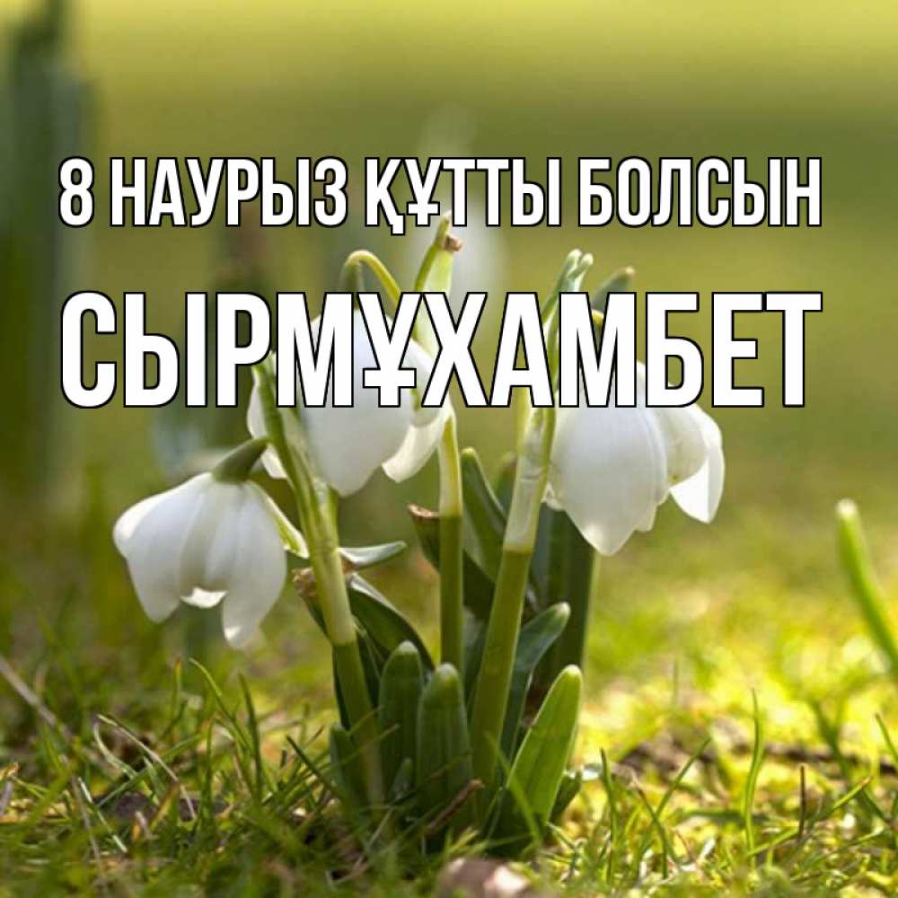 Күн сайын ашық хат с именем, СЫРМҰХАМБЕТ 8 наурыз құтты болсын ранние цветы 2 Онлайн тегін жүктеп алу тілектері бар керемет карта 