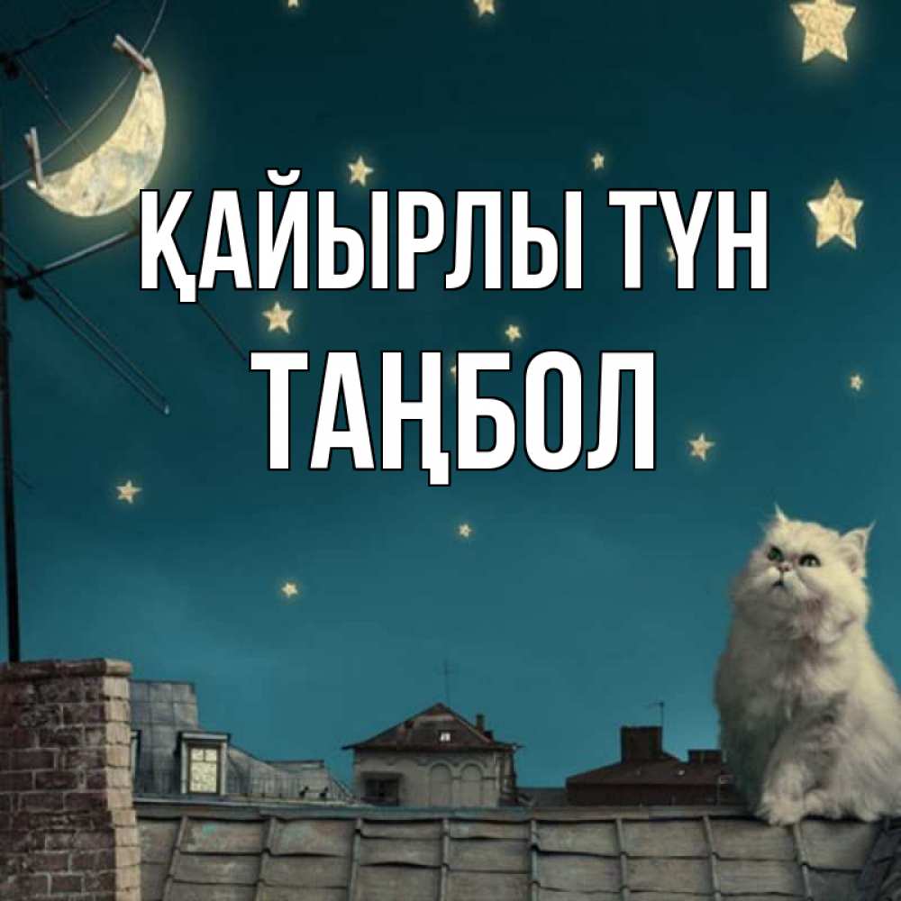 Күн сайын ашық хат с именем, ТАҢБОЛ Қайырлы түн белый кот сидит на крыше Онлайн тегін жүктеп алу тілектері бар керемет карта 