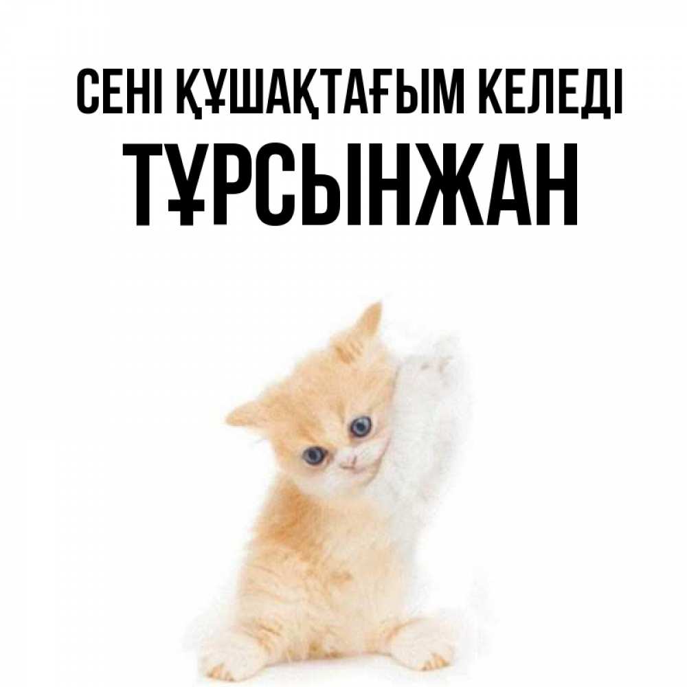 Күн сайын ашық хат с именем, ТҰРСЫНЖАН сені құшақтағым келеді я хочу очень скорее обнимаешек Онлайн тегін жүктеп алу тілектері бар керемет карта 
