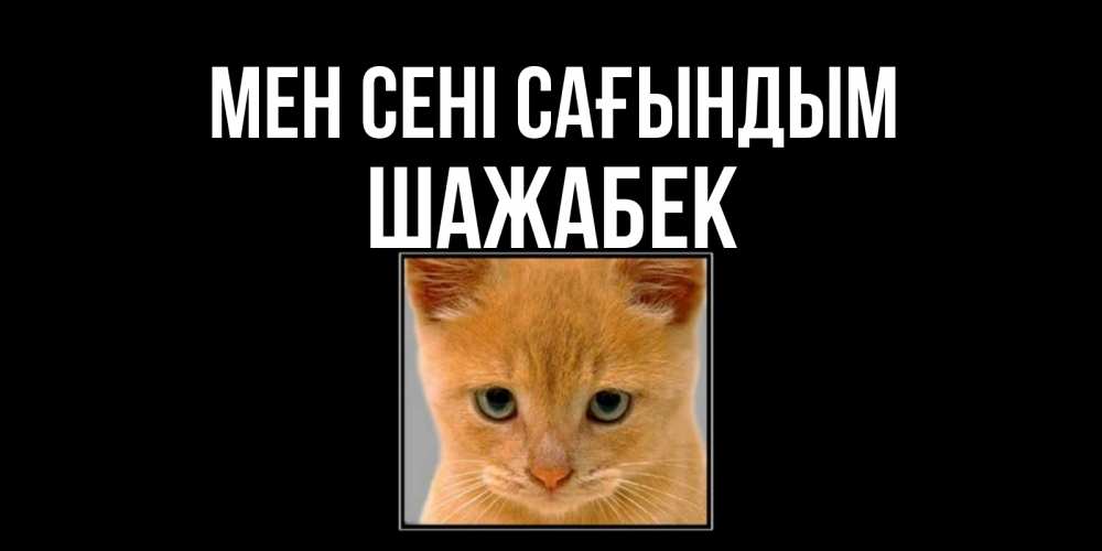 Күн сайын ашық хат с именем, ШАЖАБЕК Мен сені сағындым открытки рыжий котенок скучает по тебе Онлайн тегін жүктеп алу тілектері бар керемет карта 