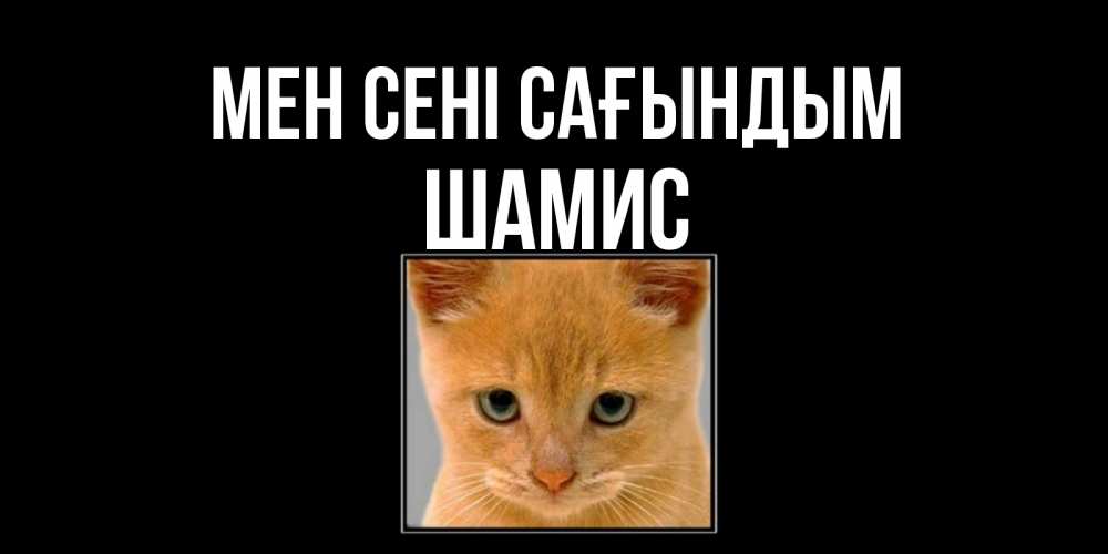Күн сайын ашық хат с именем, ШАМИС Мен сені сағындым открытки рыжий котенок скучает по тебе Онлайн тегін жүктеп алу тілектері бар керемет карта 