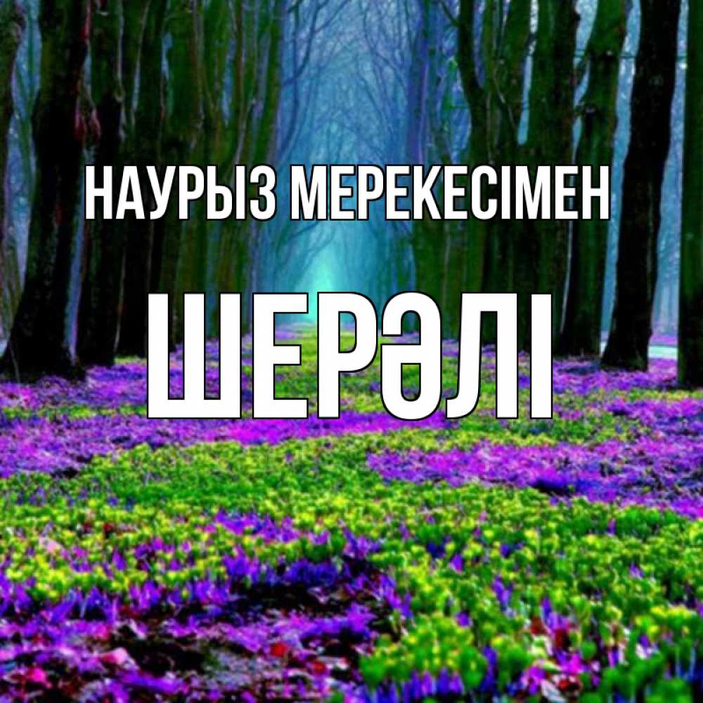 Күн сайын ашық хат с именем, ШЕРӘЛІ Наурыз мерекесімен фиолетовые цветы в лесу 1 Онлайн тегін жүктеп алу тілектері бар керемет карта 