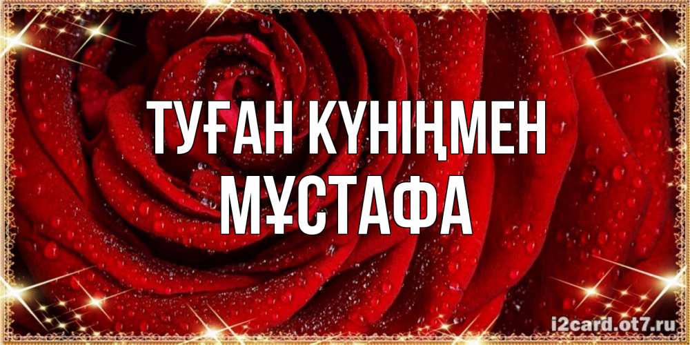 Күн сайын ашық хат с именем, МҰСТАФА Туған күніңмен роса на розе блестящая в лучах солнца Онлайн тегін жүктеп алу тілектері бар керемет карта 