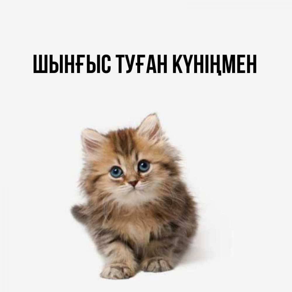 Картинка  с именем , ШЫНҒЫС! ТУҒАН КҮНІҢМЕН!