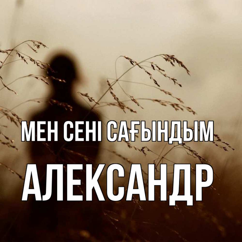 Күн сайын ашық хат с именем, Александр Мен сені сағындым силуэт девушки Онлайн тегін жүктеп алу тілектері бар керемет карта 