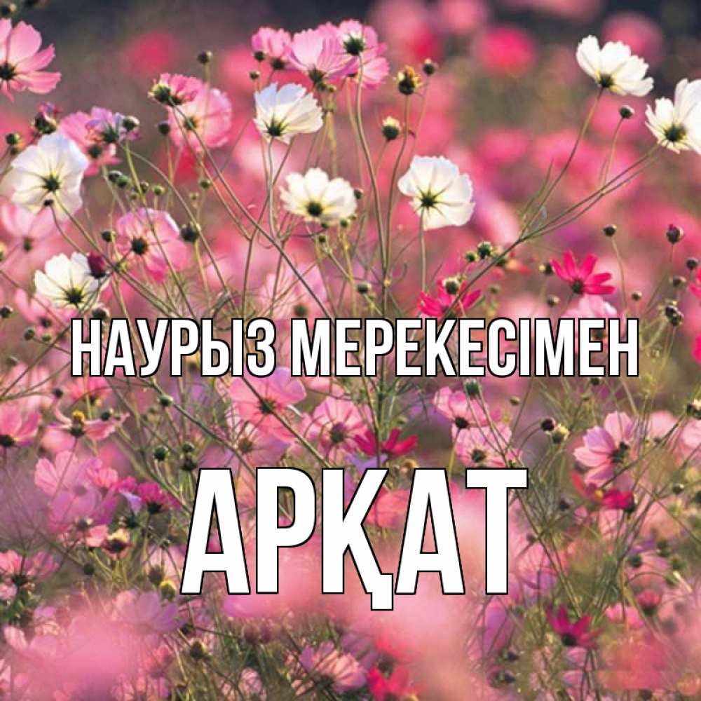 Күн сайын ашық хат с именем, Арқат Наурыз мерекесімен красиво 1 Онлайн тегін жүктеп алу тілектері бар керемет карта 
