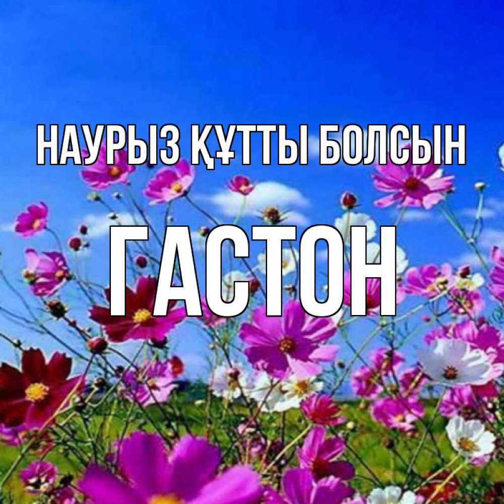 Күн сайын ашық хат с именем, Гастон Наурыз құтты болсын цветы Онлайн тегін жүктеп алу тілектері бар керемет карта 