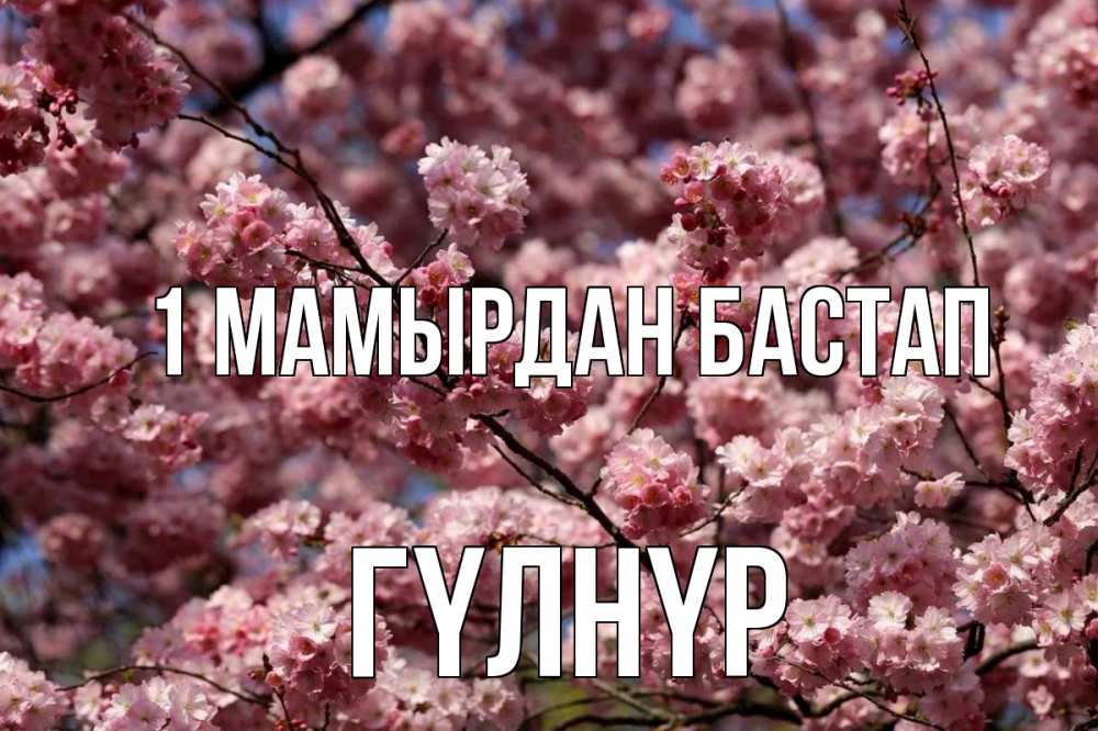 Күн сайын ашық хат с именем, ГҮЛНҮР 1 мамырдан бастап С 1 мая Онлайн тегін жүктеп алу тілектері бар керемет карта 