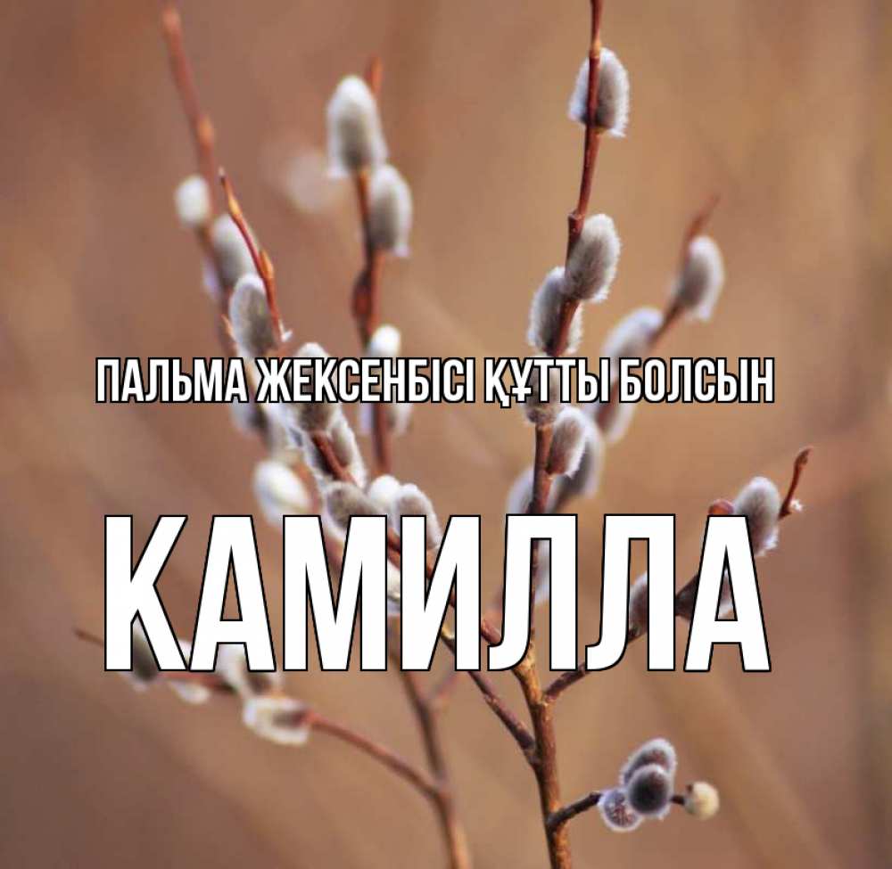 Күн сайын ашық хат с именем, Камилла Пальма жексенбісі құтты болсын верба Онлайн тегін жүктеп алу тілектері бар керемет карта 