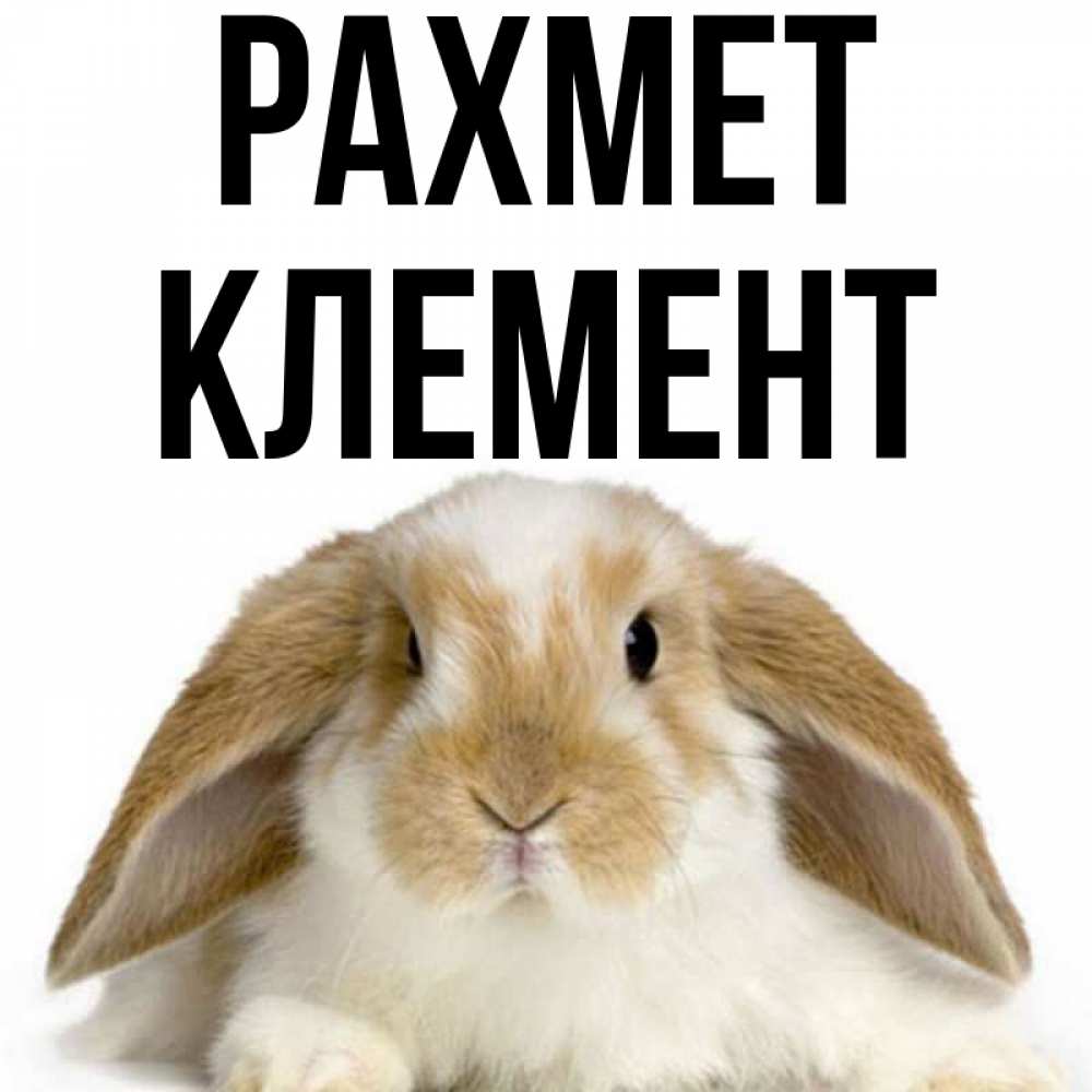 Күн сайын ашық хат с именем, Клемент рахмет коричнево белый заяц Онлайн тегін жүктеп алу тілектері бар керемет карта 