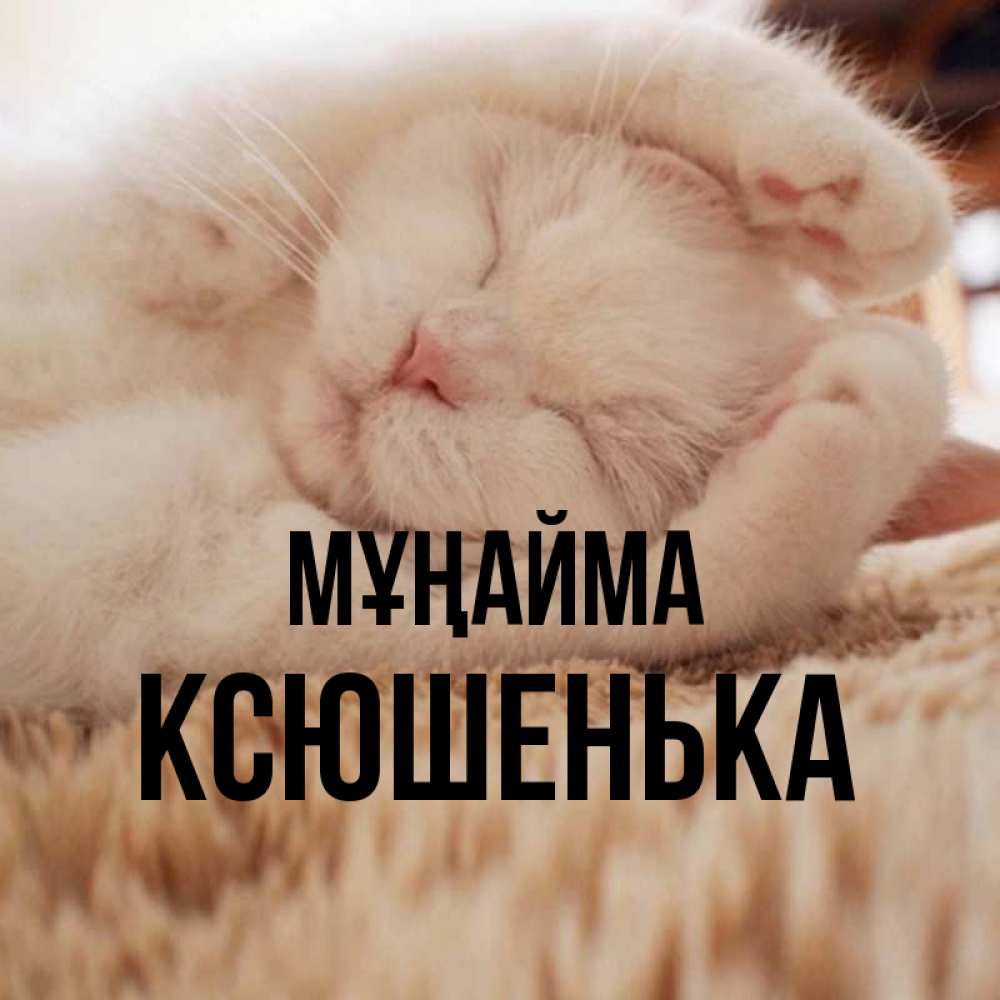 Күн сайын ашық хат с именем, Ксюшенька Мұңайма Котенок спит Онлайн тегін жүктеп алу тілектері бар керемет карта 