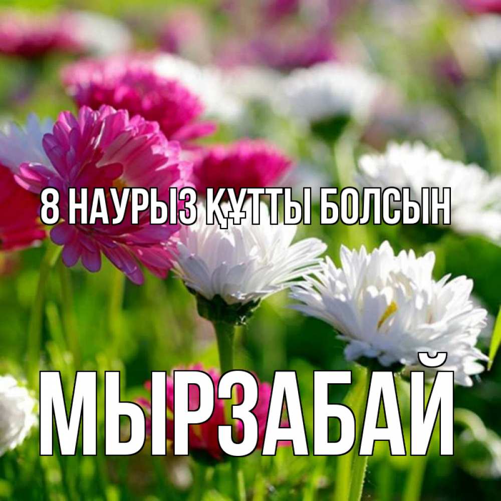 Күн сайын ашық хат с именем, Мырзабай 8 наурыз құтты болсын международный женский день 1 Онлайн тегін жүктеп алу тілектері бар керемет карта 