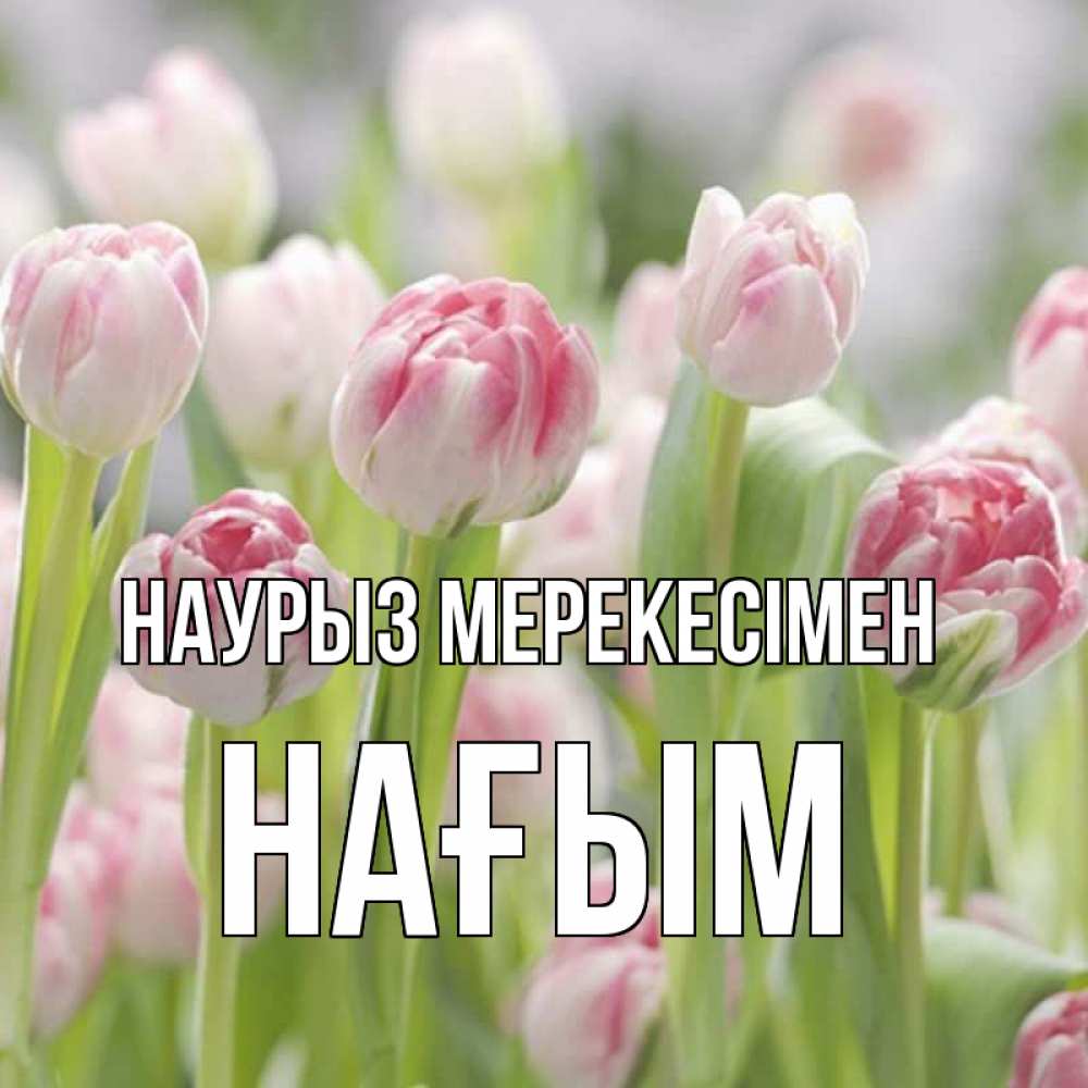 Күн сайын ашық хат с именем, НАҒЫМ Наурыз мерекесімен цветы Онлайн тегін жүктеп алу тілектері бар керемет карта 