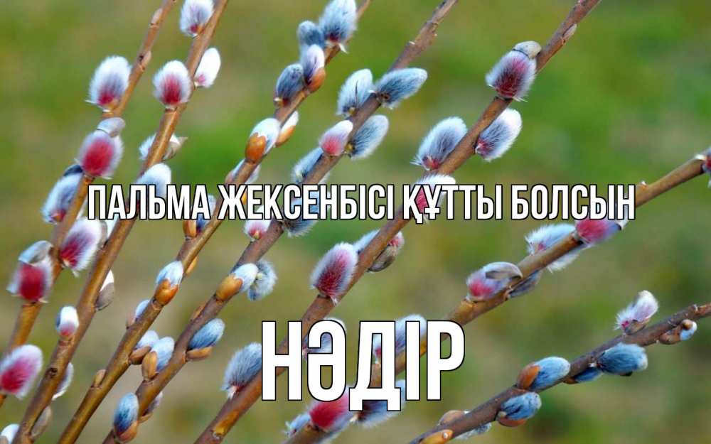 Күн сайын ашық хат с именем, НӘДІР Пальма жексенбісі құтты болсын верба Онлайн тегін жүктеп алу тілектері бар керемет карта 