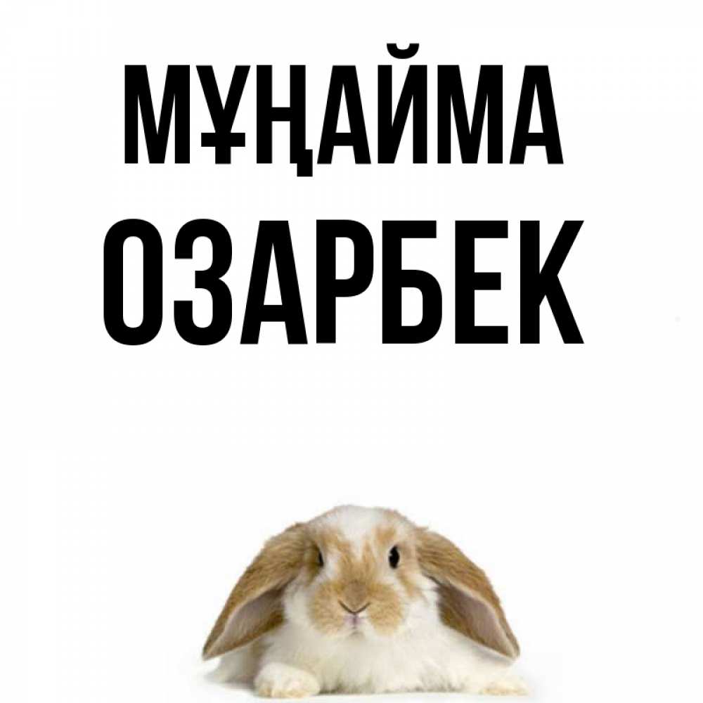 Күн сайын ашық хат с именем, ОЗАРБЕК Мұңайма коричнево белый заяц с большими ушками Онлайн тегін жүктеп алу тілектері бар керемет карта 