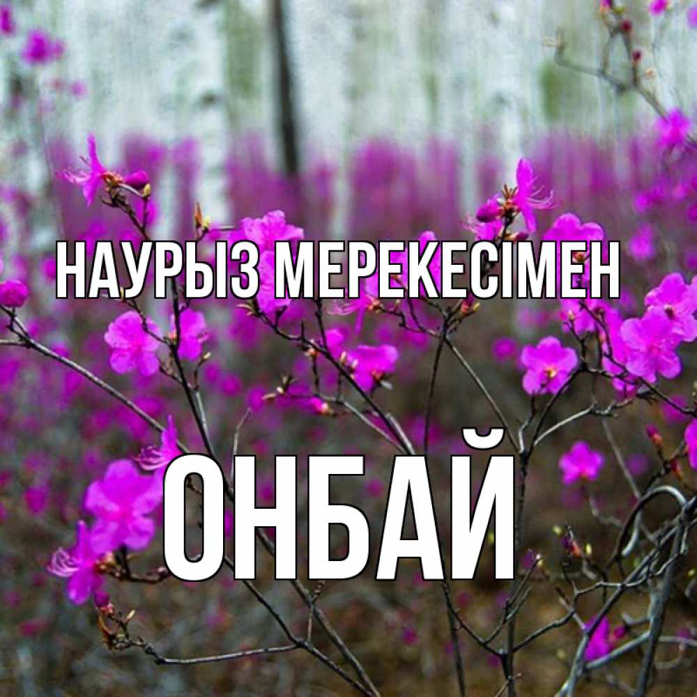 Күн сайын ашық хат с именем, ОНБАЙ Наурыз мерекесімен дикие цветы Онлайн тегін жүктеп алу тілектері бар керемет карта 