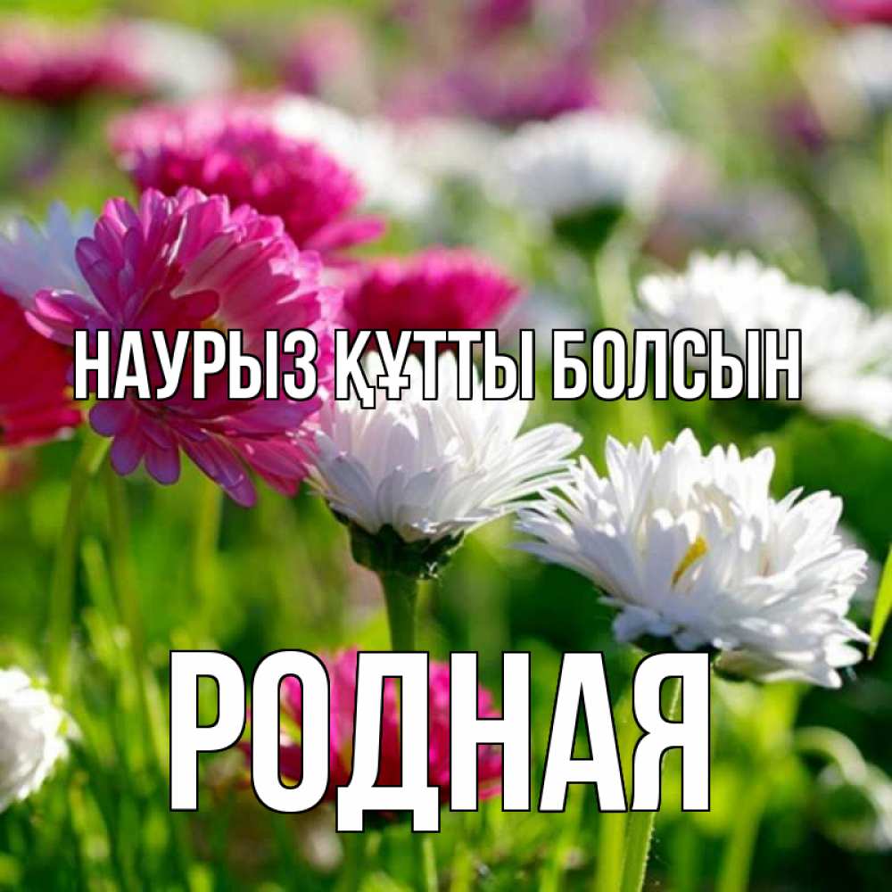 Күн сайын ашық хат с именем, Родная Наурыз құтты болсын наурыз Онлайн тегін жүктеп алу тілектері бар керемет карта 