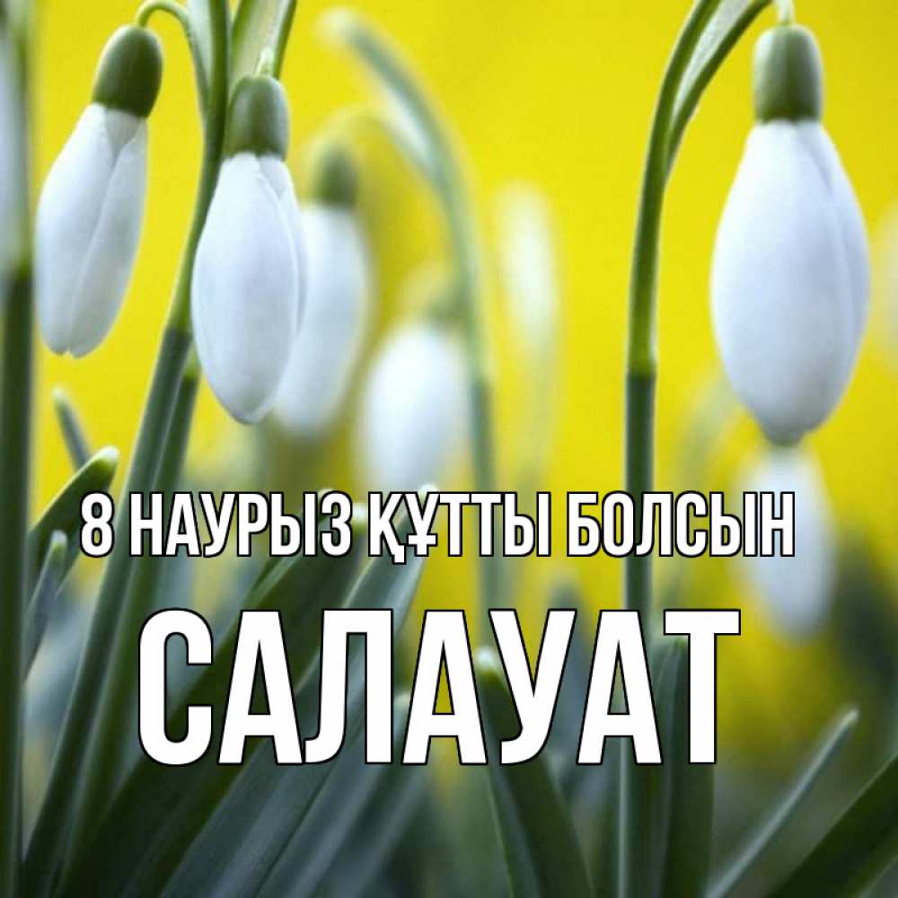 Күн сайын ашық хат с именем, САЛАУАТ 8 наурыз құтты болсын весенние цветы Онлайн тегін жүктеп алу тілектері бар керемет карта 