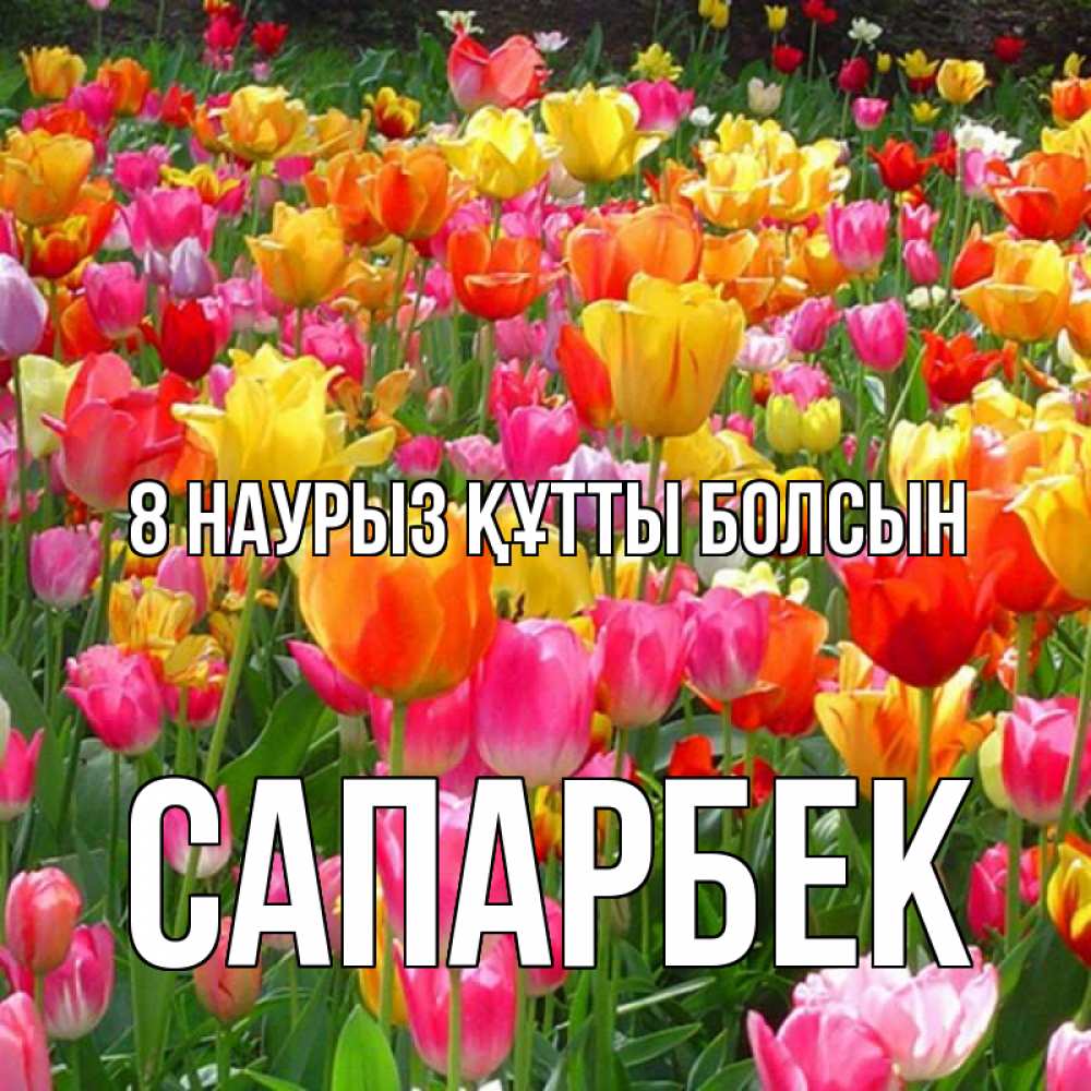 Күн сайын ашық хат с именем, САПАРБЕК 8 наурыз құтты болсын на международный женский день Онлайн тегін жүктеп алу тілектері бар керемет карта 