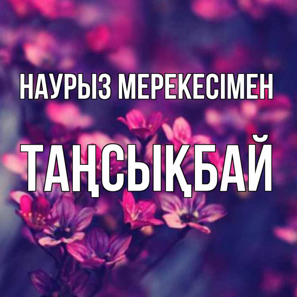 Күн сайын ашық хат с именем, ТАҢСЫҚБАЙ Наурыз мерекесімен небольшие цветы 1 Онлайн тегін жүктеп алу тілектері бар керемет карта 
