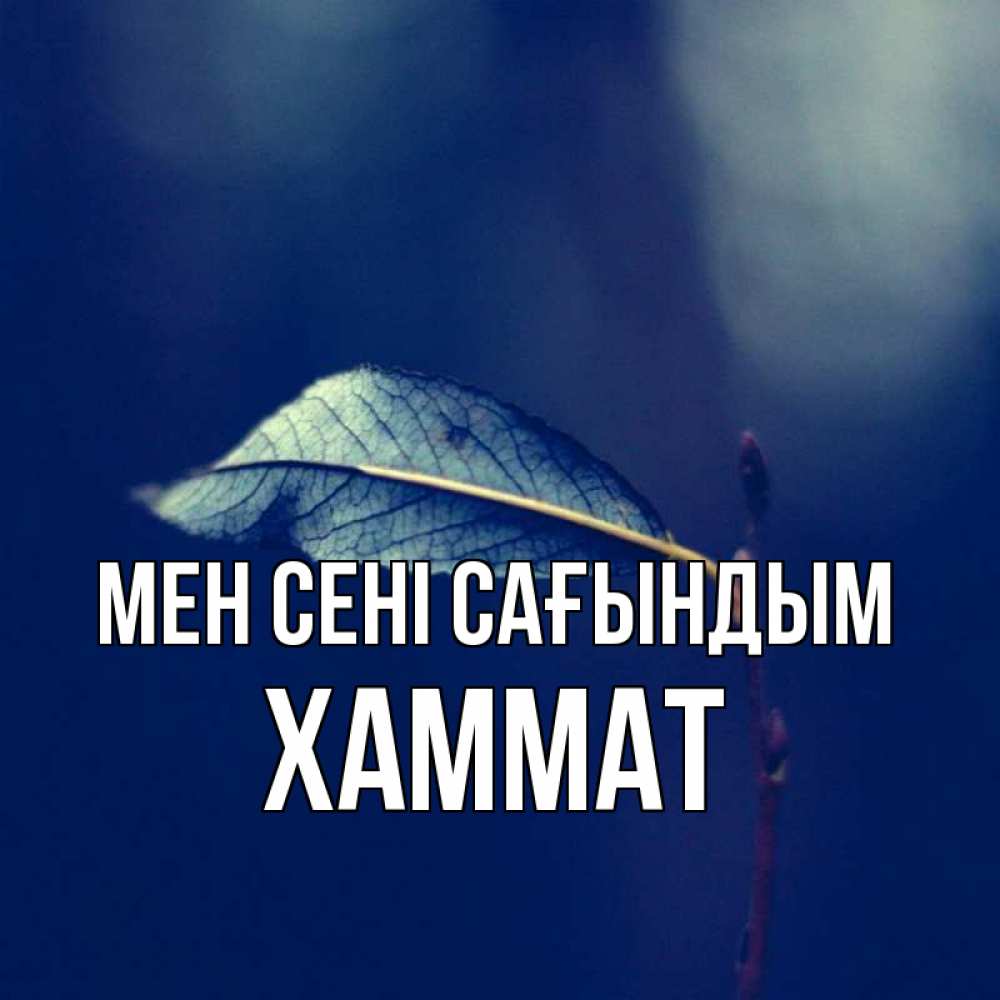 Күн сайын ашық хат с именем, ХАММАТ Мен сені сағындым одна ветка 1 Онлайн тегін жүктеп алу тілектері бар керемет карта 