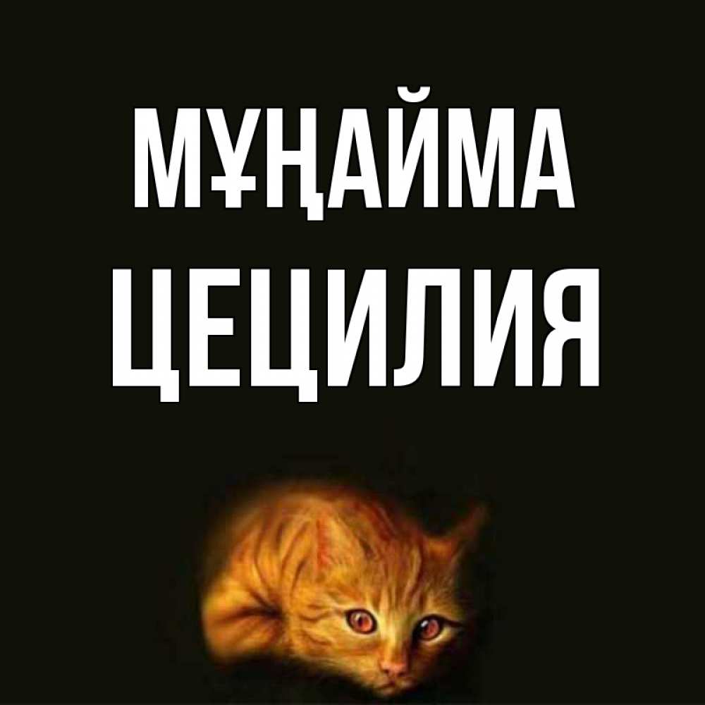 Күн сайын ашық хат с именем, Цецилия Мұңайма лежащий кот в темноте Онлайн тегін жүктеп алу тілектері бар керемет карта 