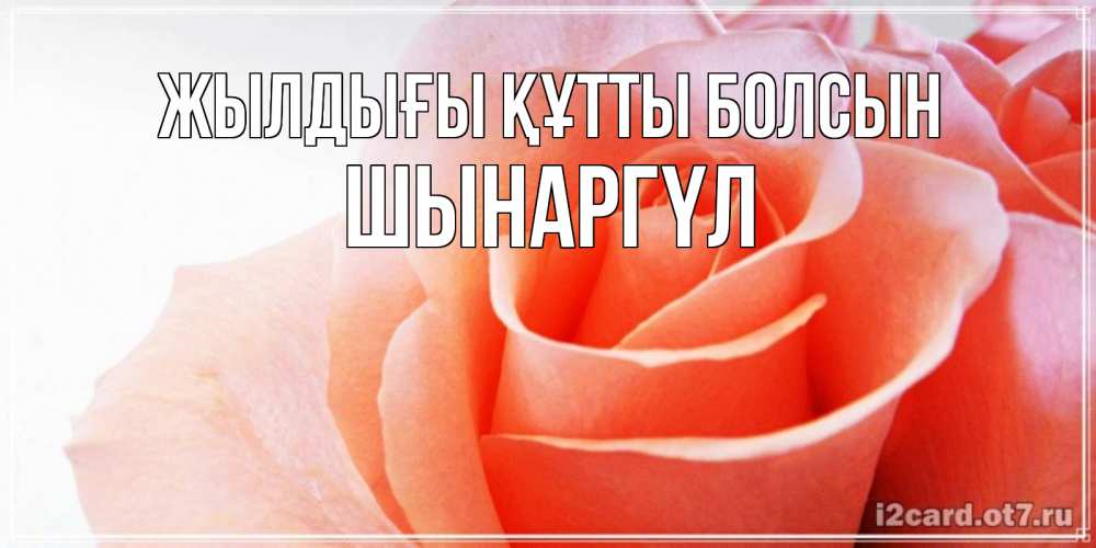 Күн сайын ашық хат с именем, ШЫНАРГҮЛ Жылдығы құтты болсын розы для поздравления с днем рождения Онлайн тегін жүктеп алу тілектері бар керемет карта 