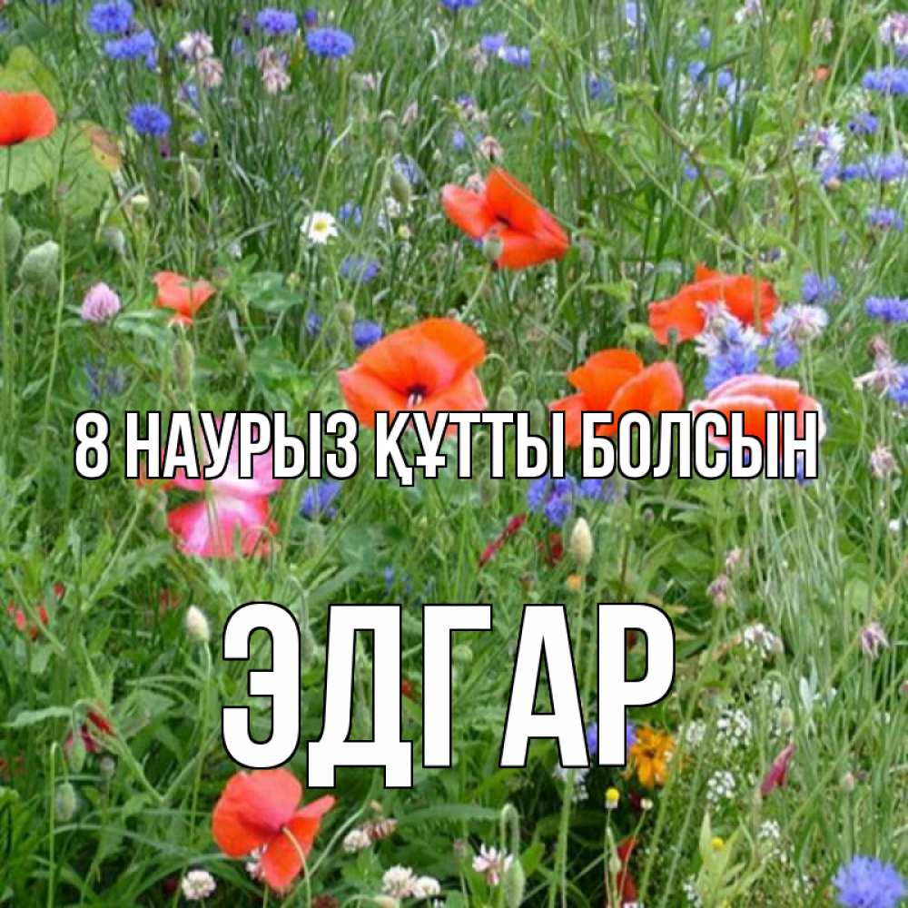 Күн сайын ашық хат с именем, Эдгар 8 наурыз құтты болсын международный женский день 4 Онлайн тегін жүктеп алу тілектері бар керемет карта 