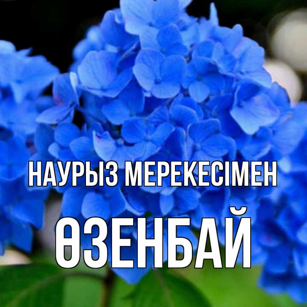 Күн сайын ашық хат с именем, ӨЗЕНБАЙ Наурыз мерекесімен синие цветы Онлайн тегін жүктеп алу тілектері бар керемет карта 