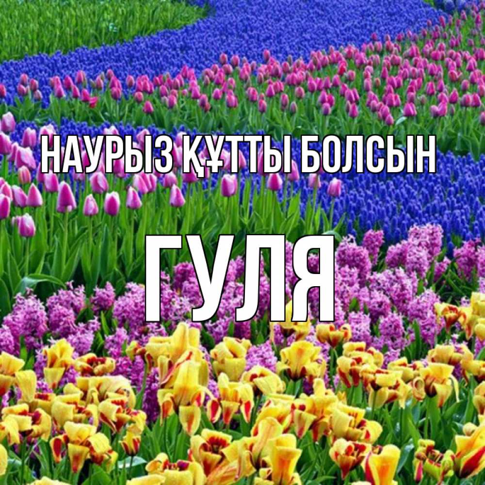 Күн сайын ашық хат с именем, Гуля Наурыз құтты болсын цветы Онлайн тегін жүктеп алу тілектері бар керемет карта 