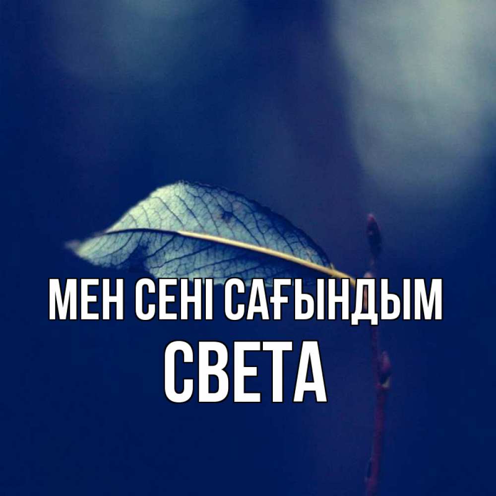 Күн сайын ашық хат с именем, Света Мен сені сағындым одна ветка 1 Онлайн тегін жүктеп алу тілектері бар керемет карта 