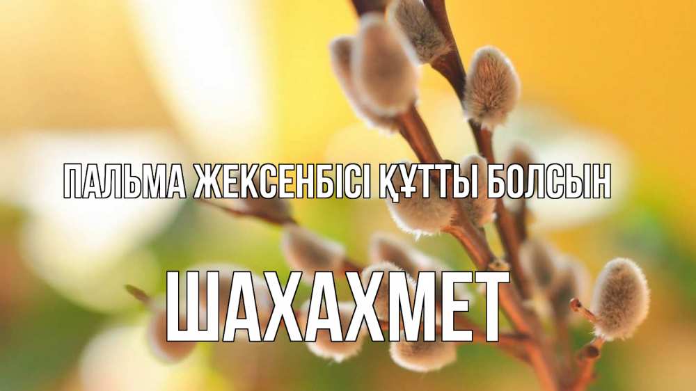 Картинка Пальма жексенбісі құтты болсын, ШАХАХМЕТ