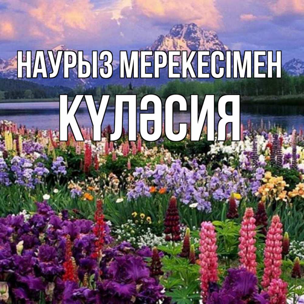 Күн сайын ашық хат с именем, КҮЛӘСИЯ Наурыз мерекесімен праздник весны наурыз Онлайн тегін жүктеп алу тілектері бар керемет карта 