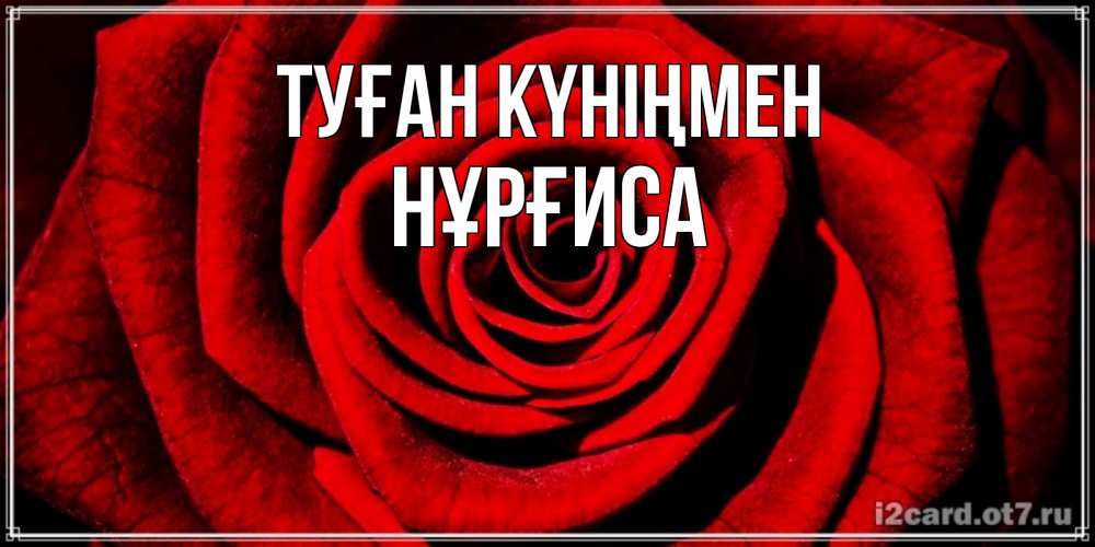 Күн сайын ашық хат с именем, НҰРҒИСА Туған күніңмен алая роза Онлайн тегін жүктеп алу тілектері бар керемет карта 