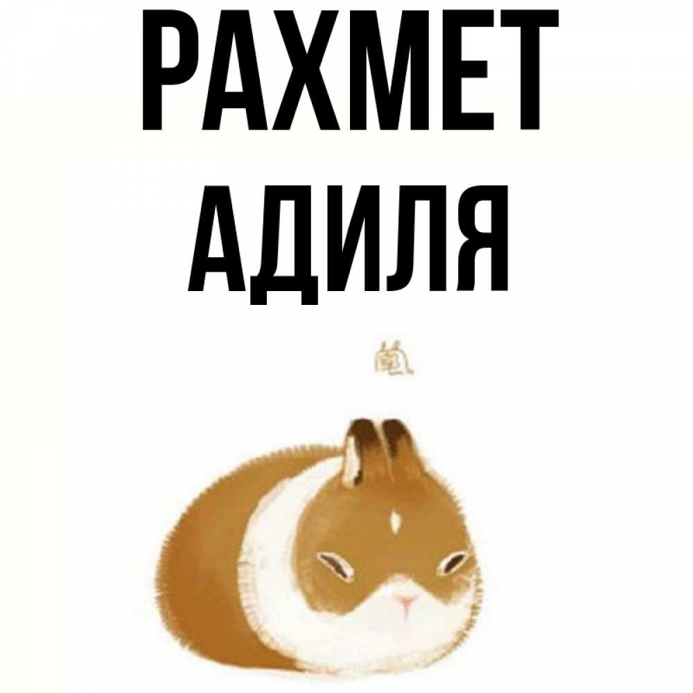 Күн сайын ашық хат с именем, Адиля рахмет коричнево белый домашний питомец Онлайн тегін жүктеп алу тілектері бар керемет карта 