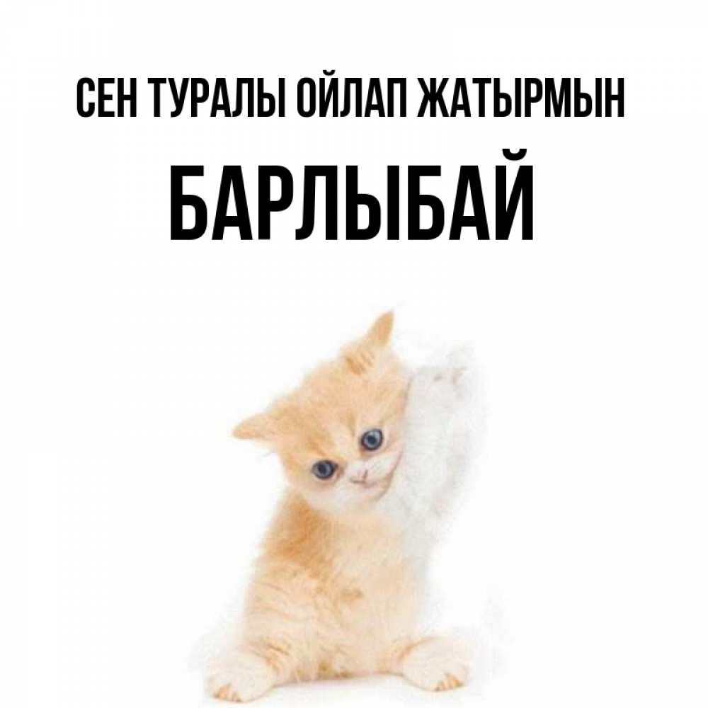 Күн сайын ашық хат с именем, Барлыбай Сен туралы ойлап жатырмын зверушки и милота Онлайн тегін жүктеп алу тілектері бар керемет карта 