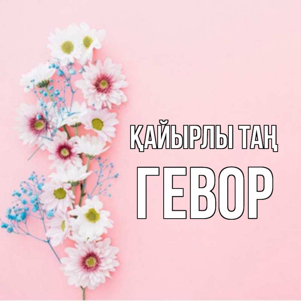 Күн сайын ашық хат с именем, Гевор Қайырлы таң цветы с подписью Онлайн тегін жүктеп алу тілектері бар керемет карта 