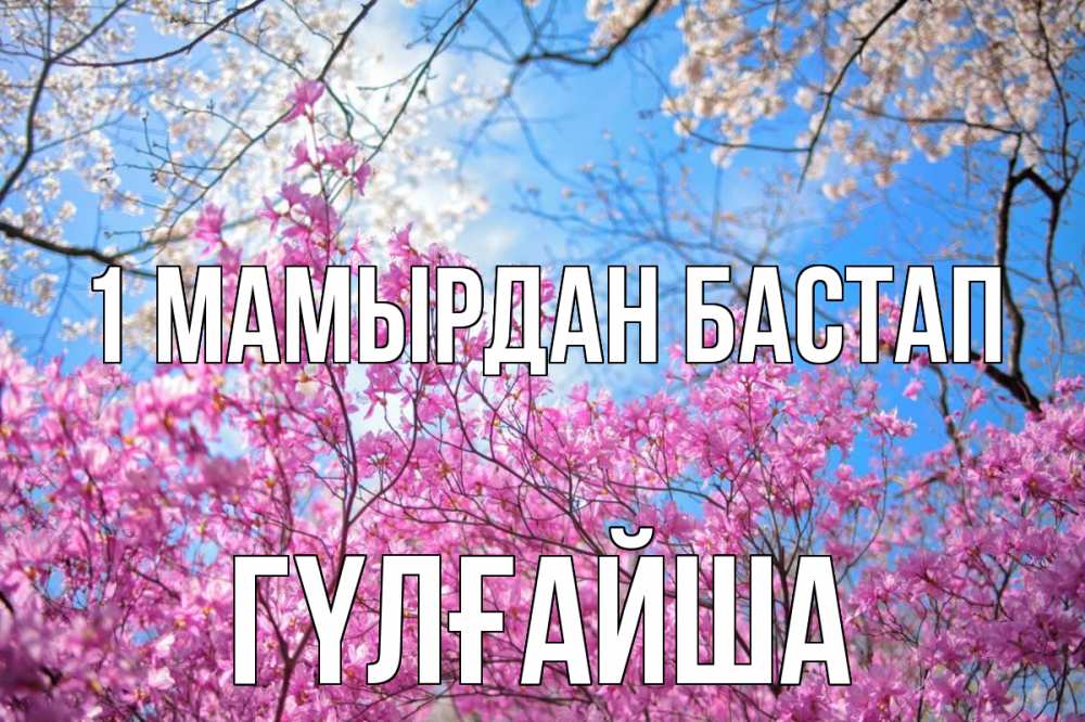 Күн сайын ашық хат с именем, ГҮЛҒАЙША 1 мамырдан бастап С 1 мая Онлайн тегін жүктеп алу тілектері бар керемет карта 