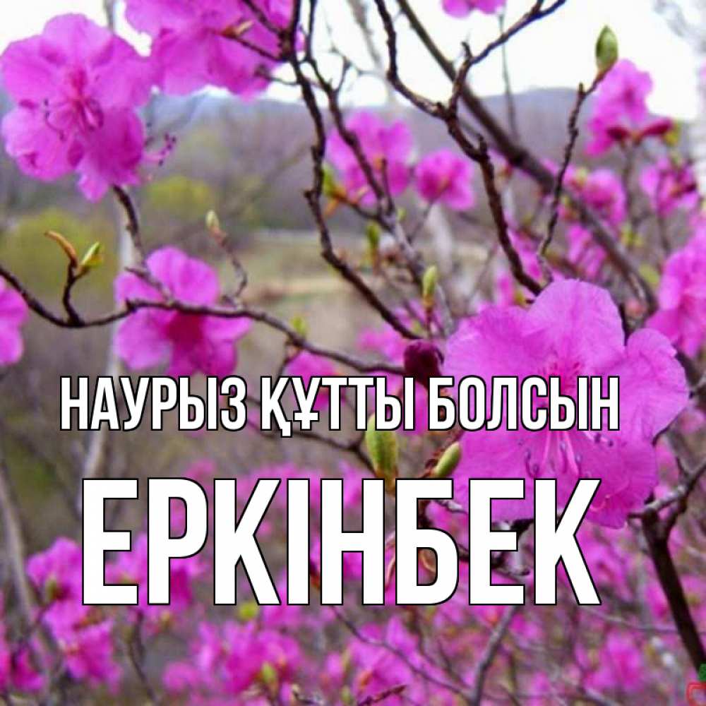 Күн сайын ашық хат с именем, Еркінбек Наурыз құтты болсын наурыз мейрамы кутты болсын Онлайн тегін жүктеп алу тілектері бар керемет карта 