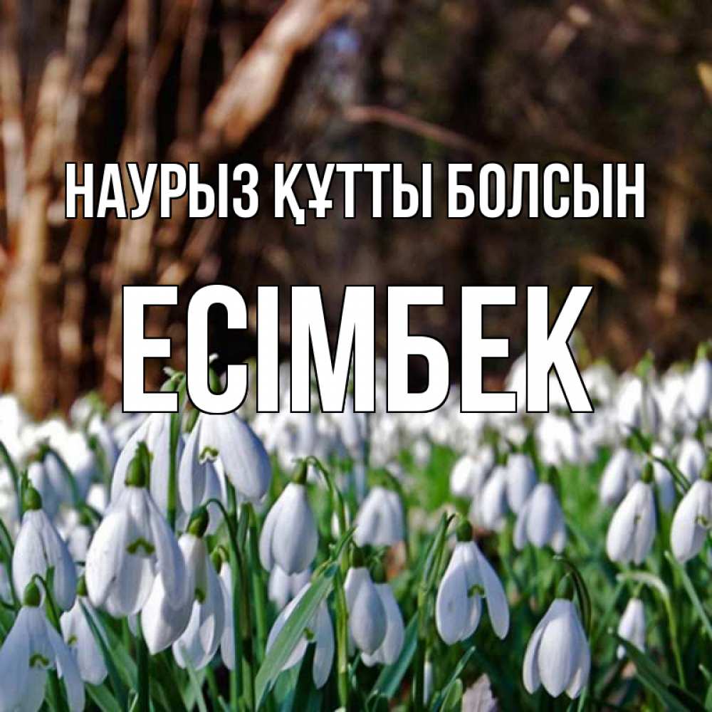 Күн сайын ашық хат с именем, Есімбек Наурыз құтты болсын с подснежниками 1 Онлайн тегін жүктеп алу тілектері бар керемет карта 