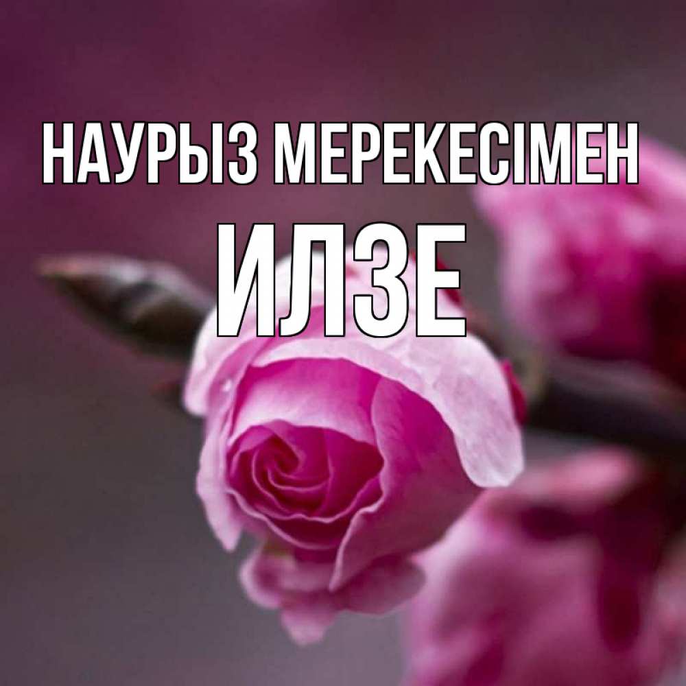 Күн сайын ашық хат с именем, Илзе Наурыз мерекесімен весна Онлайн тегін жүктеп алу тілектері бар керемет карта 