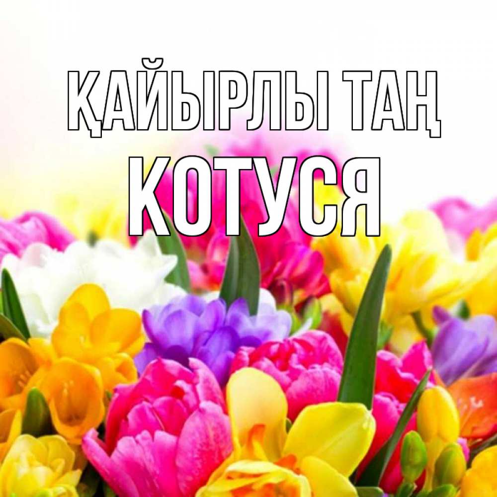 Күн сайын ашық хат с именем, Котуся Қайырлы таң создать открытку со свое подписью Онлайн тегін жүктеп алу тілектері бар керемет карта 