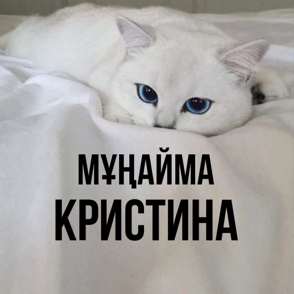 Күн сайын ашық хат с именем, Кристина Мұңайма Голубоглазая кошка Онлайн тегін жүктеп алу тілектері бар керемет карта 