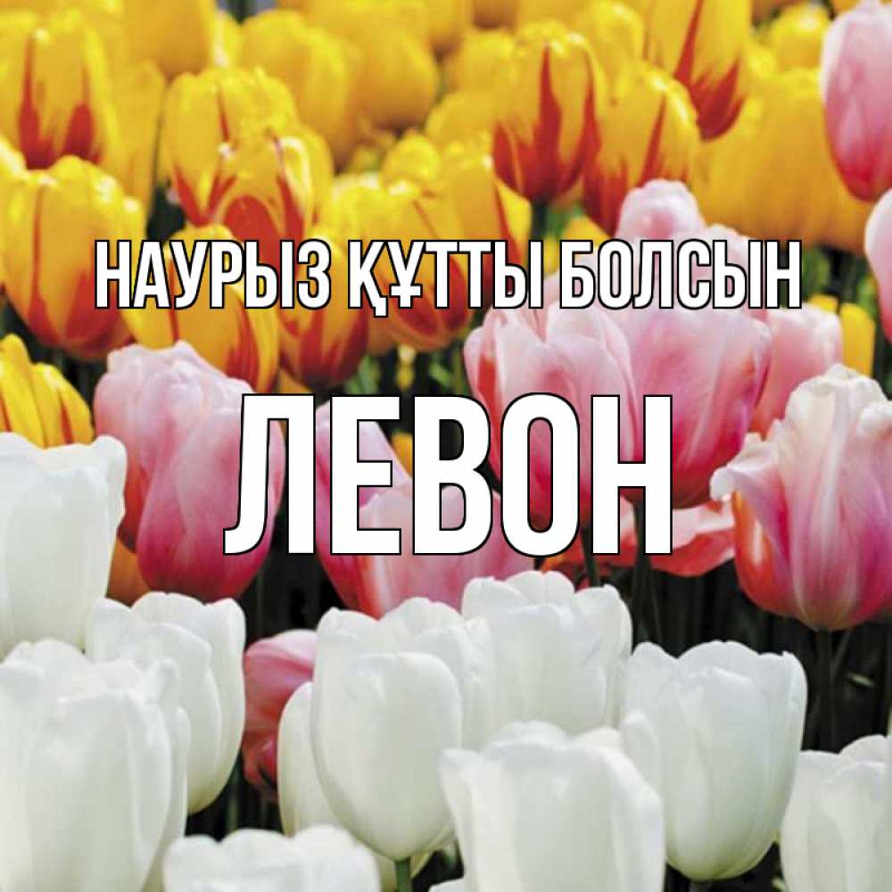 Күн сайын ашық хат с именем, Левон Наурыз құтты болсын разноцветные цветы Онлайн тегін жүктеп алу тілектері бар керемет карта 