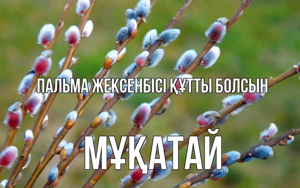 Күн сайын ашық хат с именем, Мұқатай Пальма жексенбісі құтты болсын верба Онлайн тегін жүктеп алу тілектері бар керемет карта 